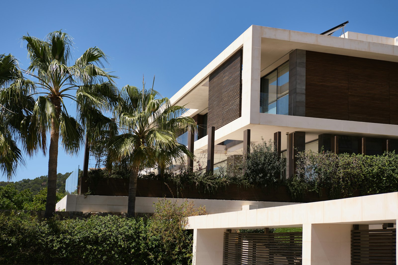 Villa exterior with palm trees in a warm climate, the kind of home that needs weather-resistant exterior paint